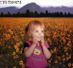 g3.jpg

577.59 KB 
744 x 700 
11/13/2006